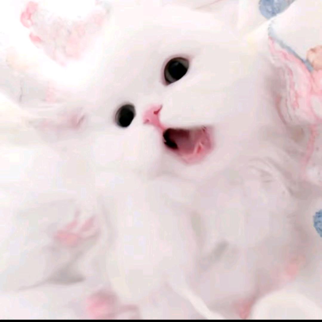 小m