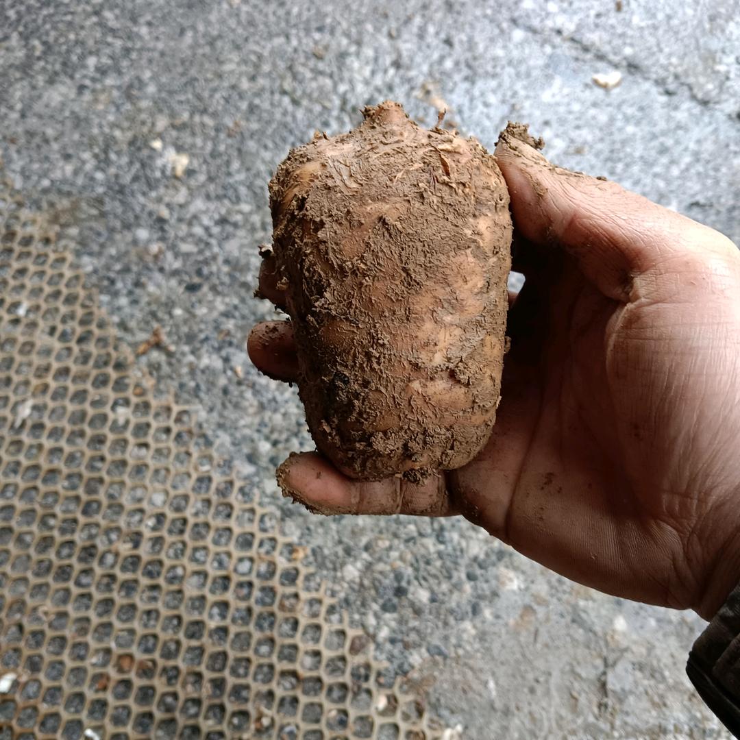 荣春精选农产