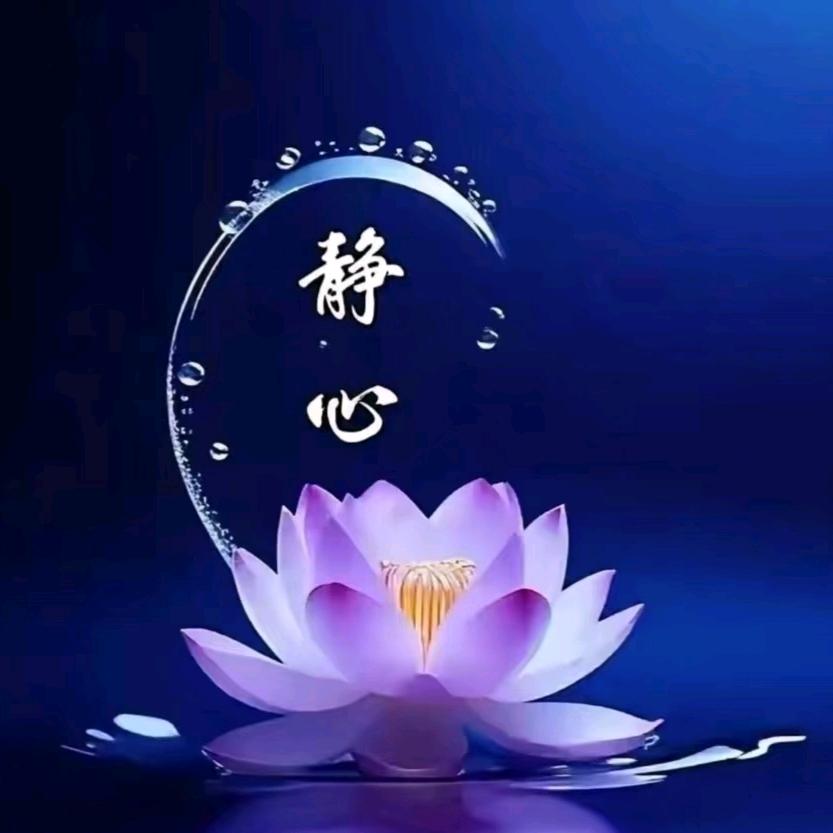 师傅唯一助理