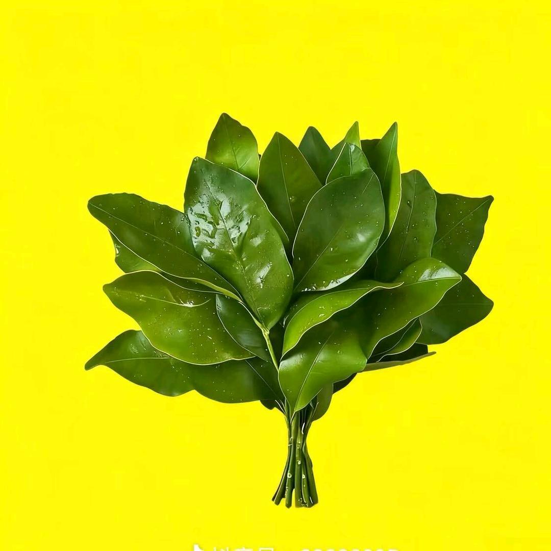 阿朱粮心手工酿皮<减肥中初时体重182.