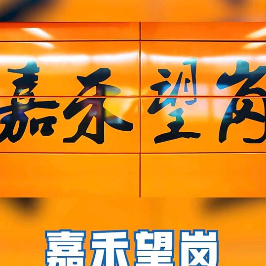 嘉禾望岗的故事