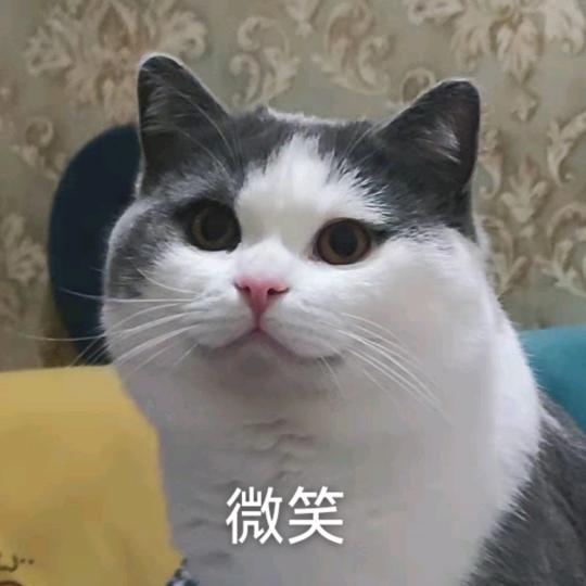 李花海（男妲己小乔）