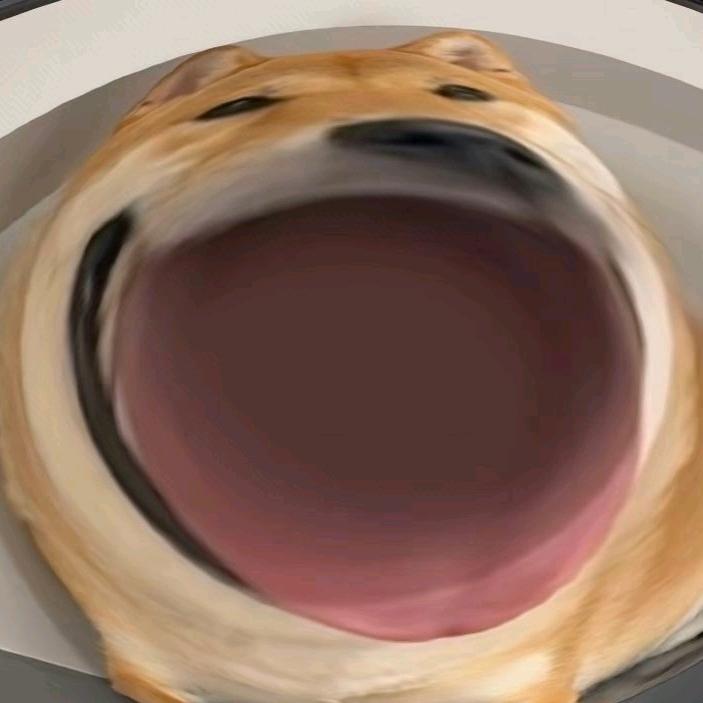 一只昂昂怪