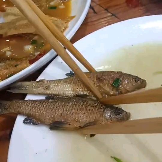 过来人(首播)