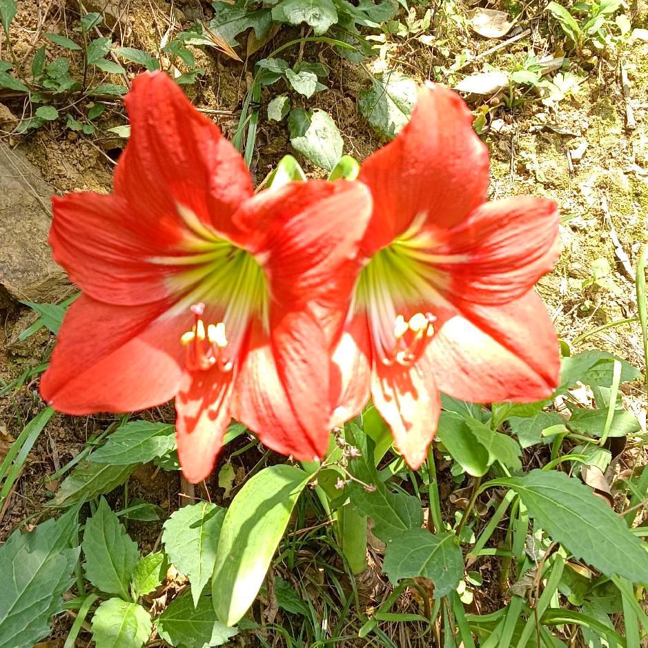 无依无靠该去哪里