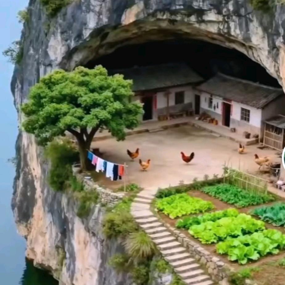 五☾⋆꯭᭄阿🌲哥