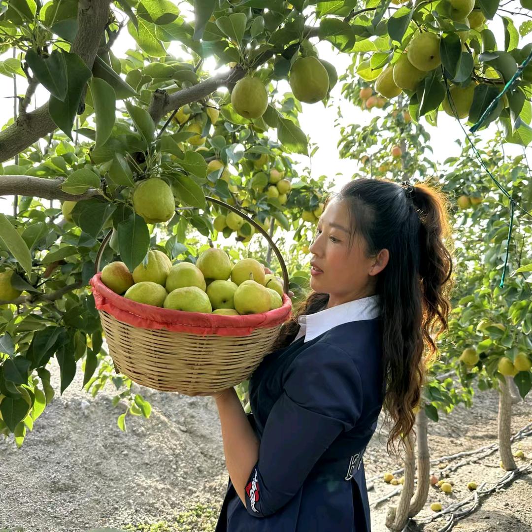 库尔勒金秋果业