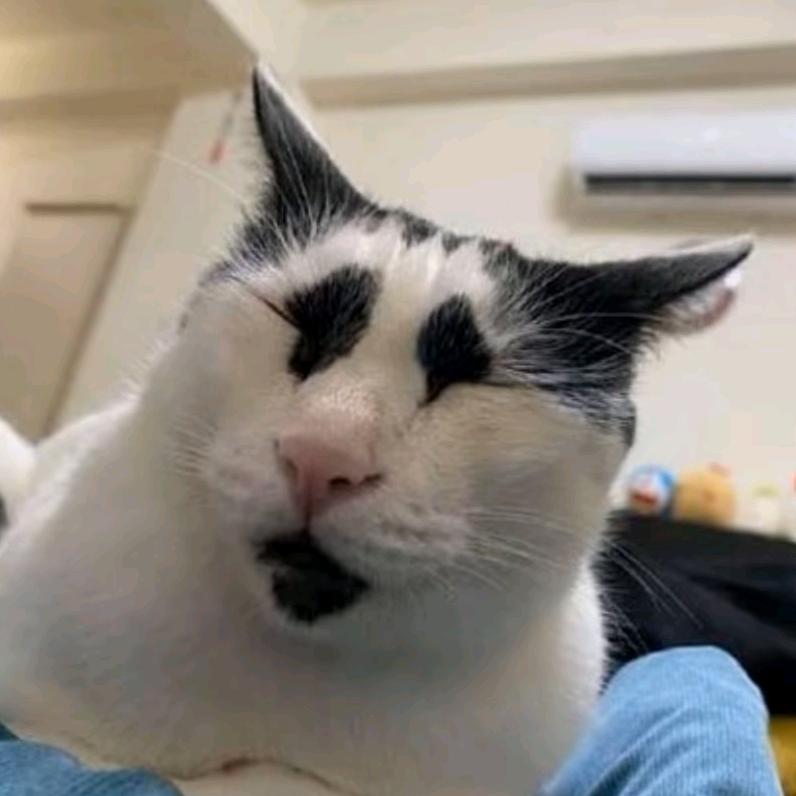 世一萌（见过李健版）