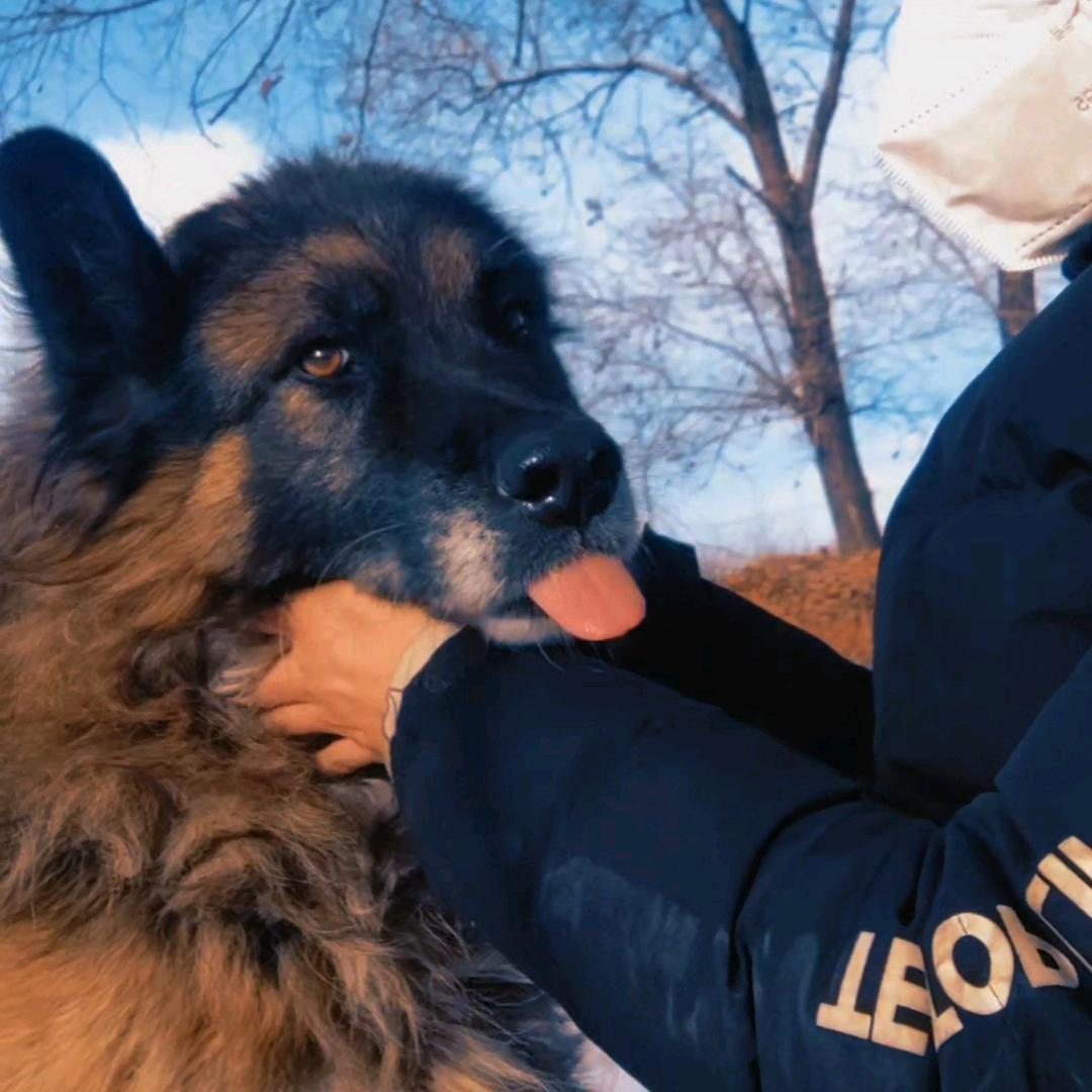 静奉草庐御山君