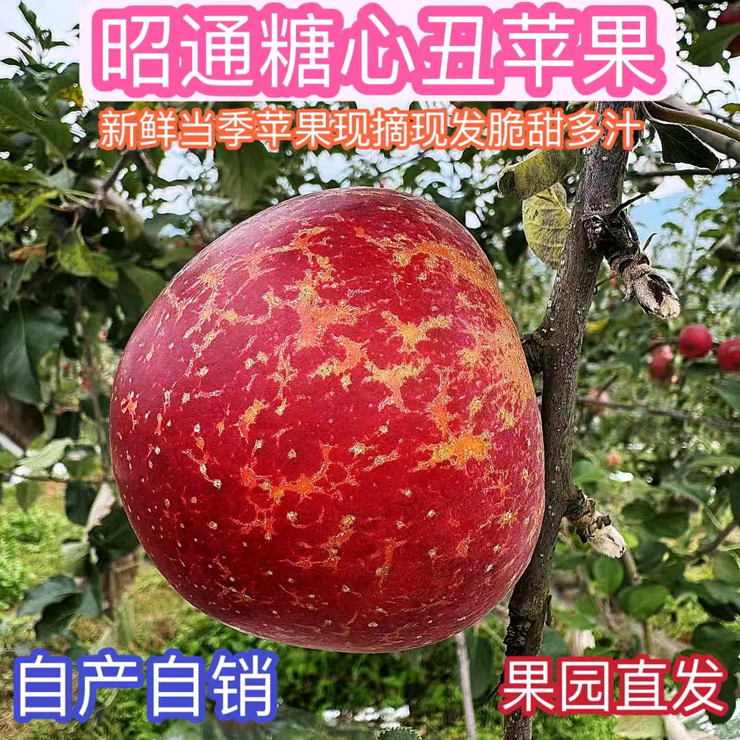 外婆家的生态果园