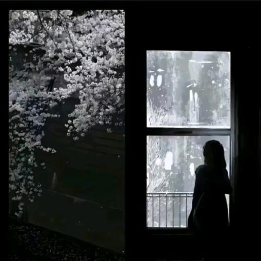 aya