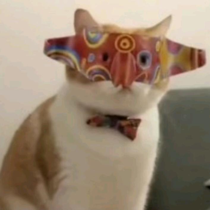 。。。。。。。。。