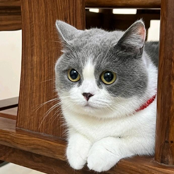 数数