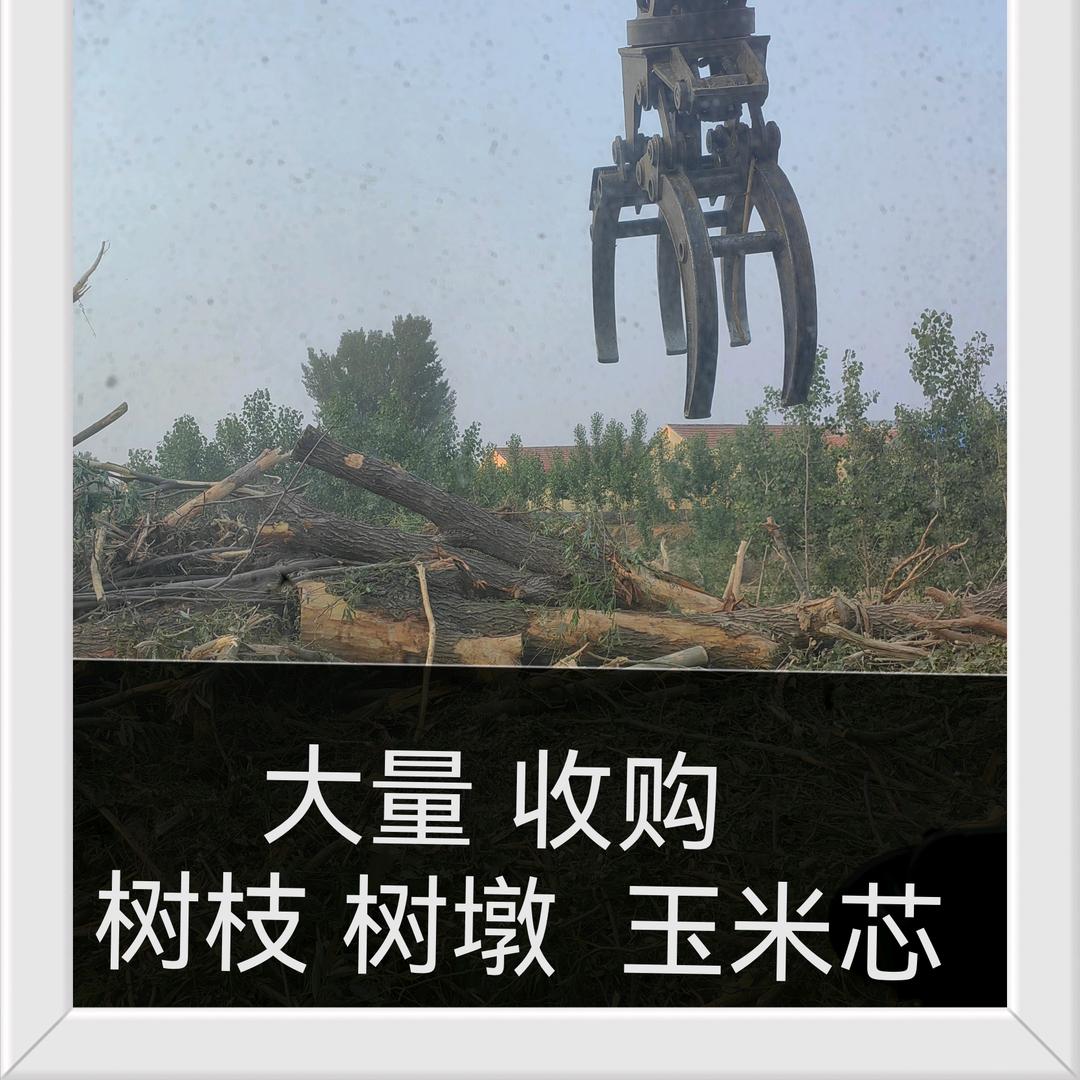收购 树枝 树墩  玉米芯