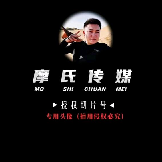 达摩切片—甜甜圈