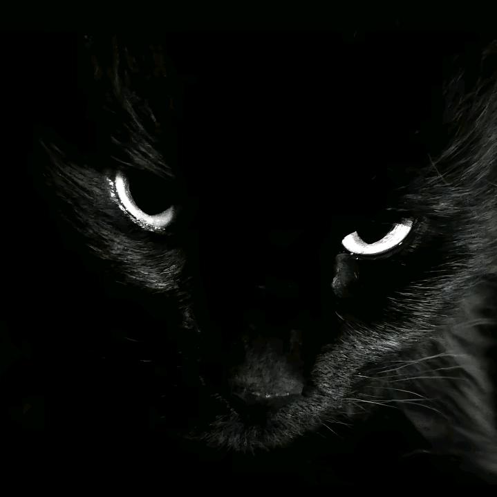 和女生聊天会脸红