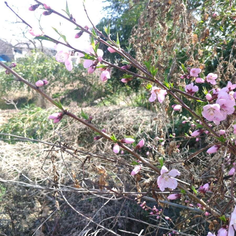 别让等待成为遗憾