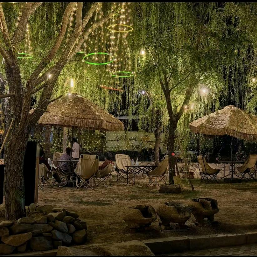 杠赛来炒鸡🌶🌶