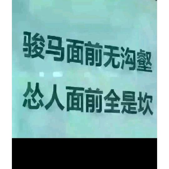 钟馗山庄大物塘【大混养塘】