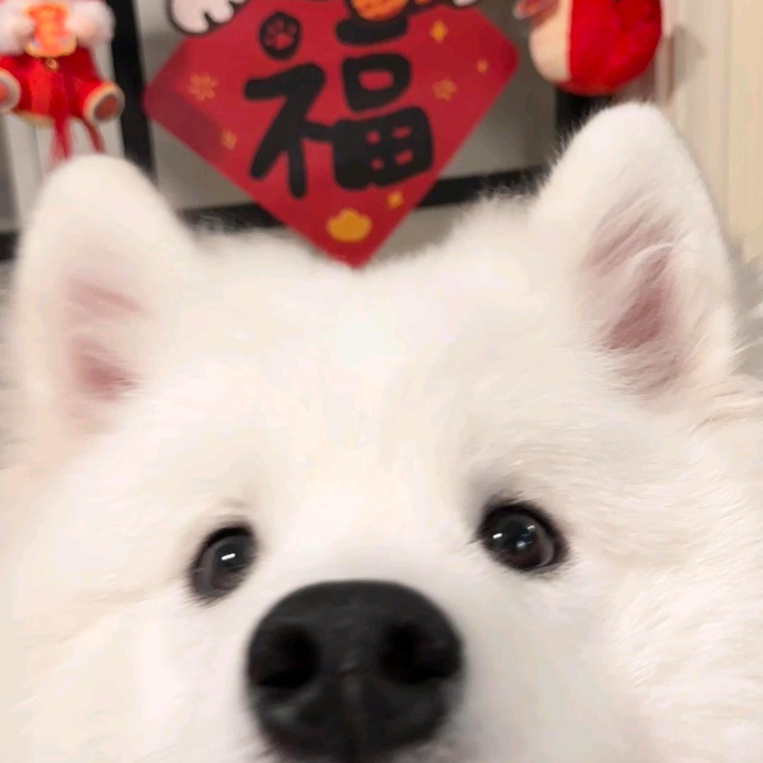 老姜
