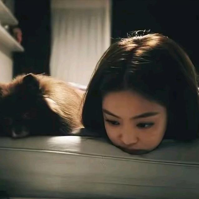 今天宇宙放假了吗