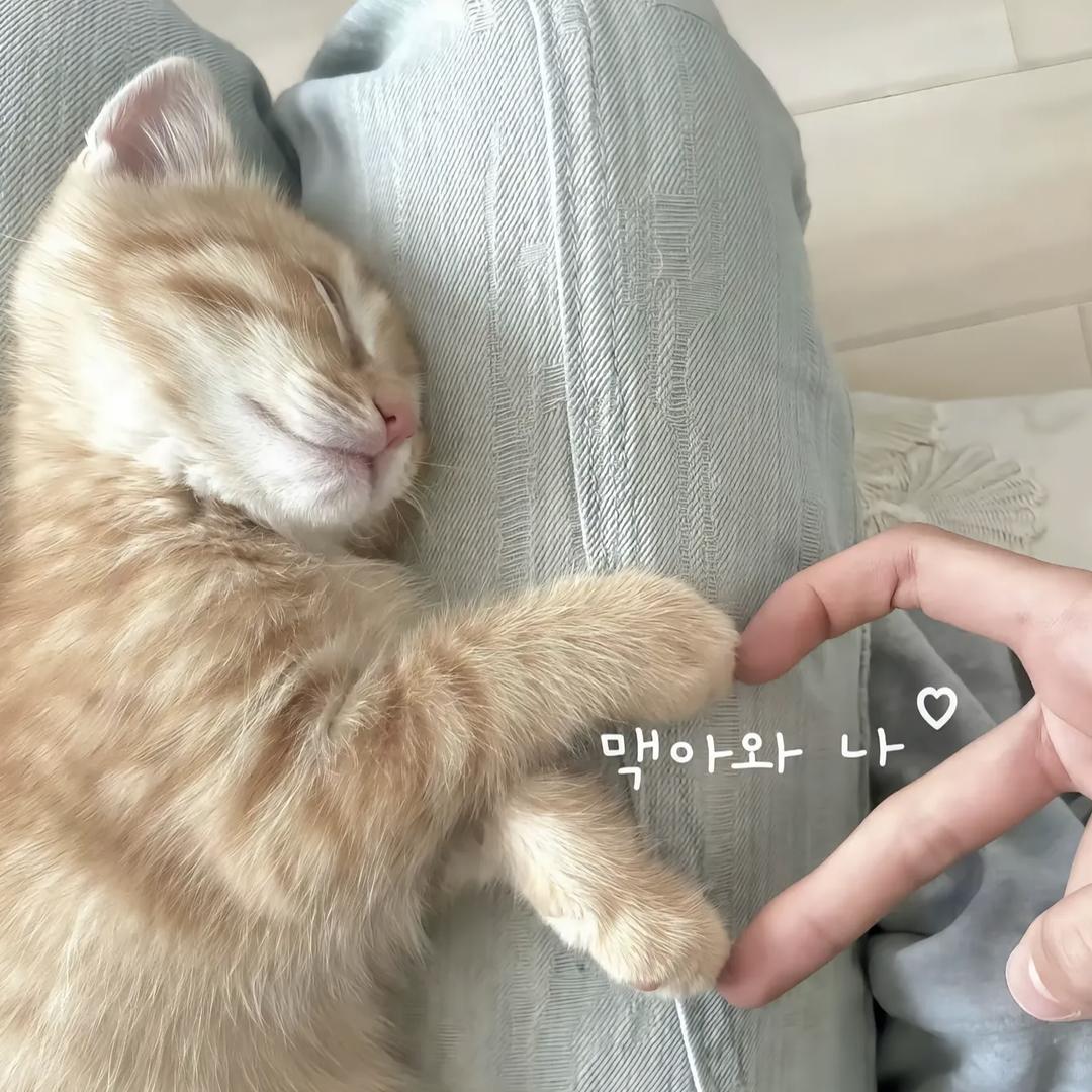 铭天见