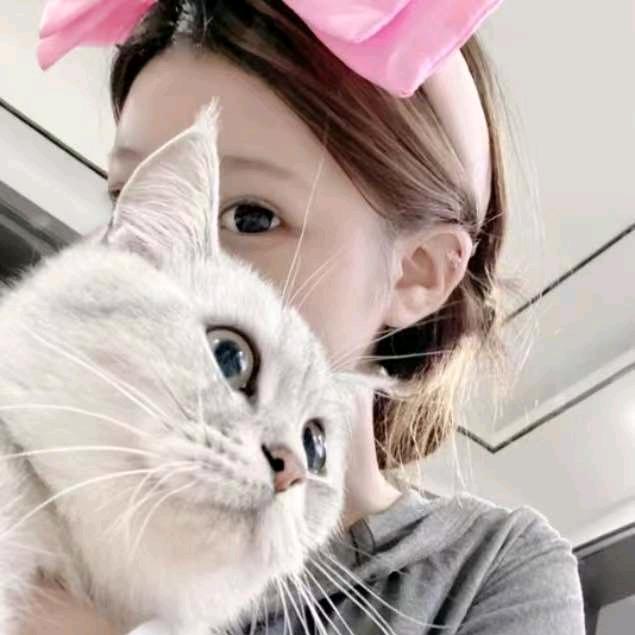 半糖云朵