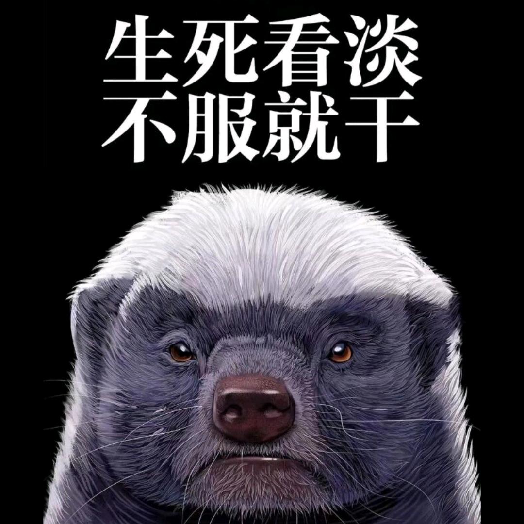 老冯的书法与杂谈