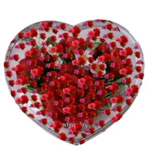 1376🌷🍎