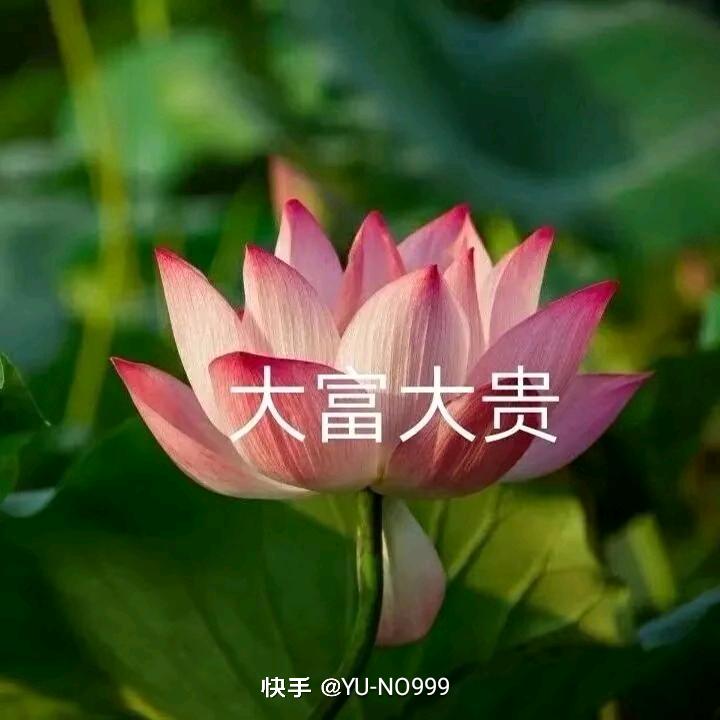 果果
