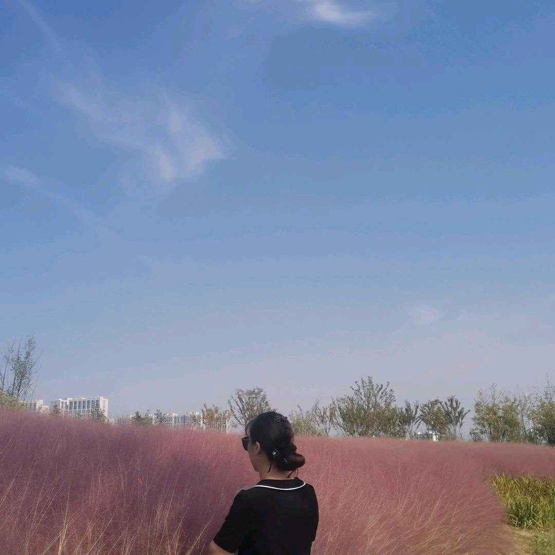 人生如梦🌻