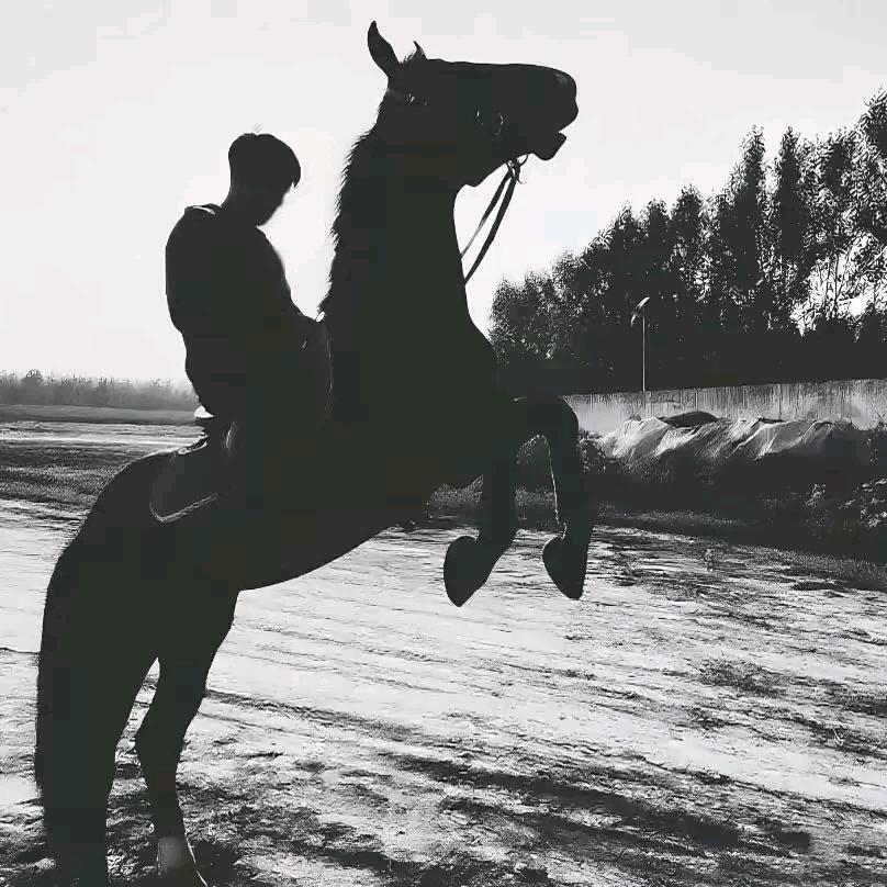 🖤头像