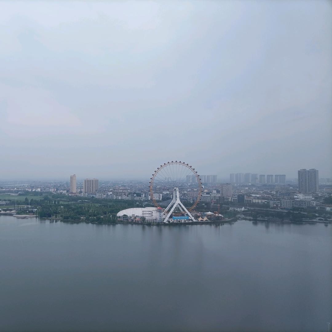趁年华