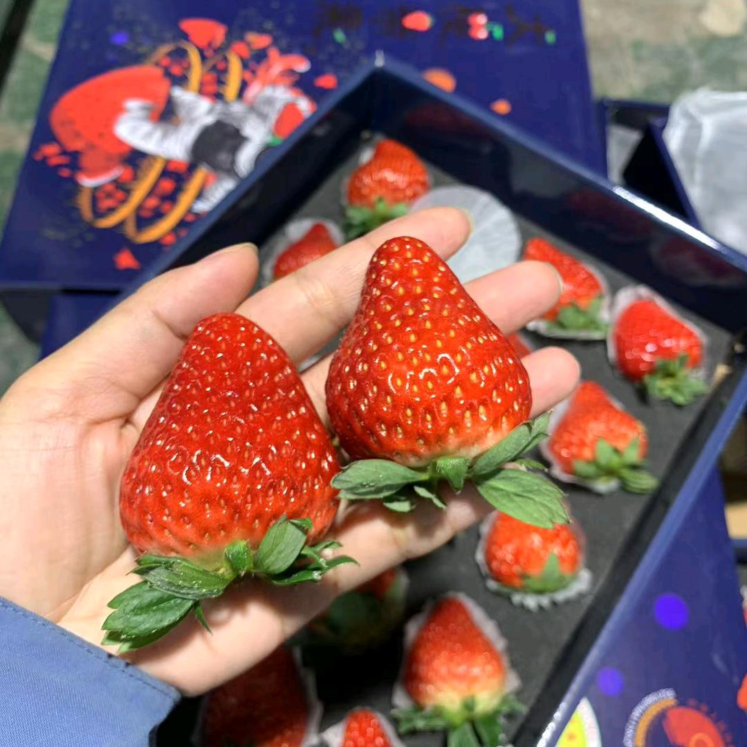 南宁海吉星水果