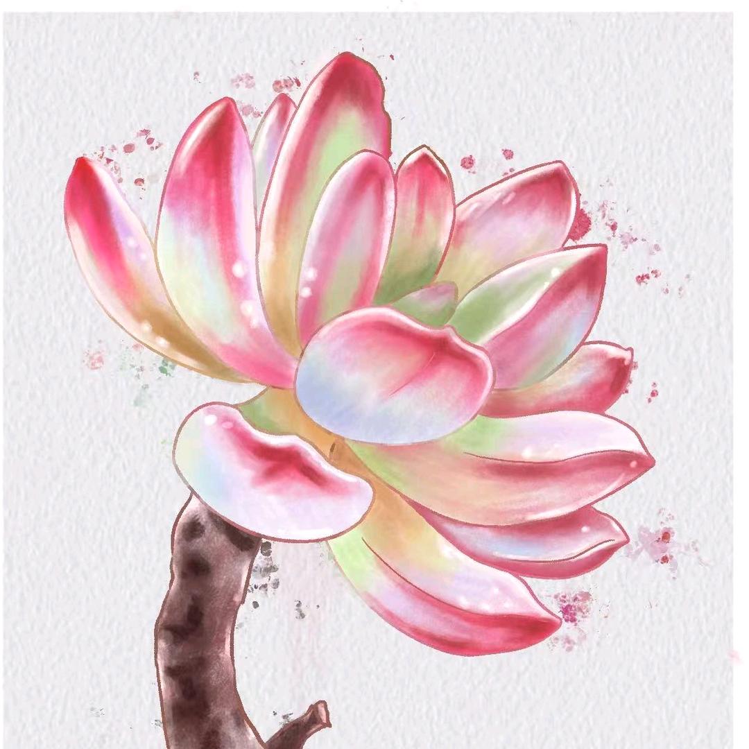 丨画鸣丨的摸鱼日常
