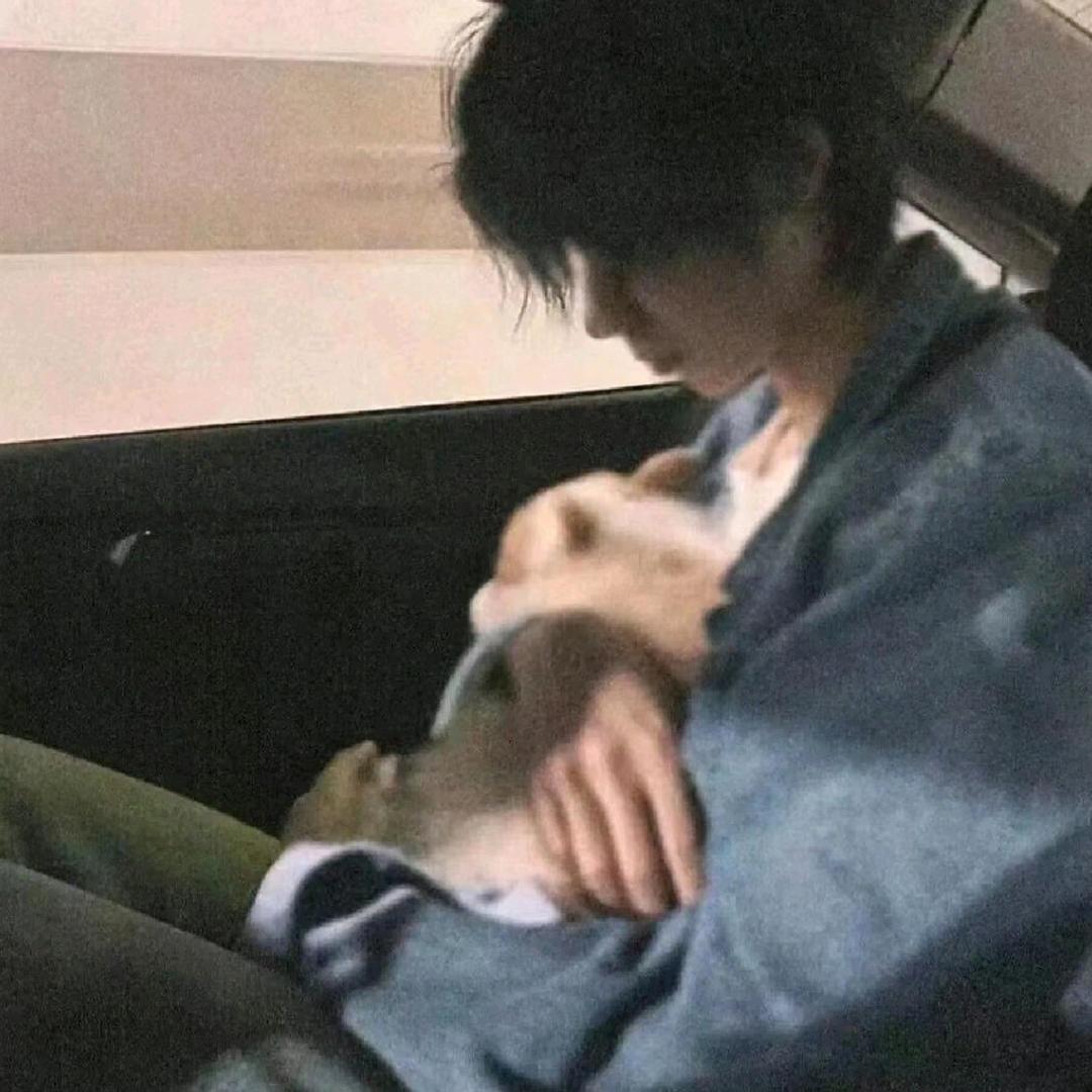 舒不煩