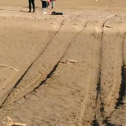 傻瓜(傻瓜)ง加油