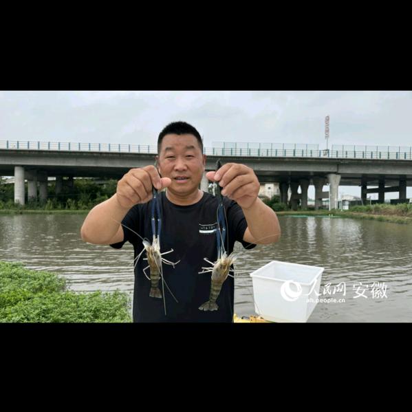 陵海农业