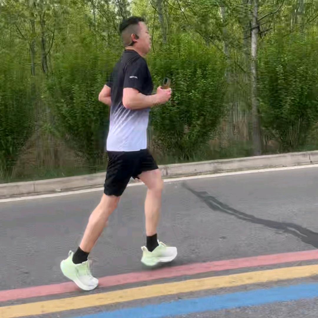 快跑的羊