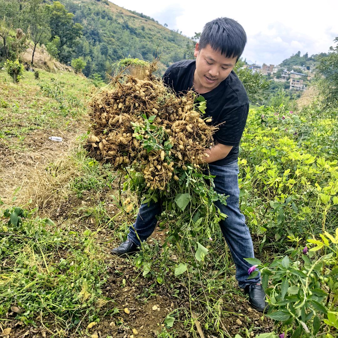 纳雍颜颜绿色农产品甄选阁