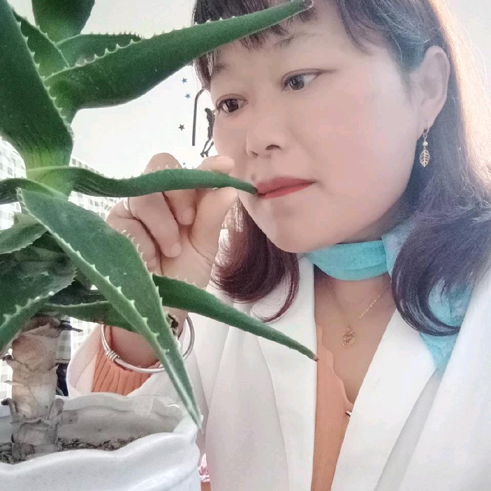 风雨飘摇