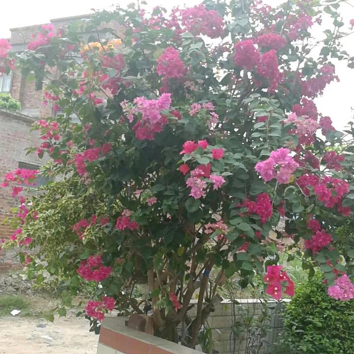 ͏ ͏͏͏͏͏_____________