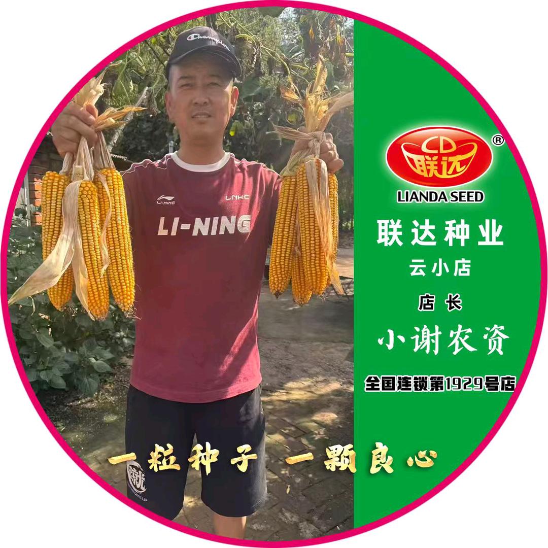 联达云小店-小谢农资