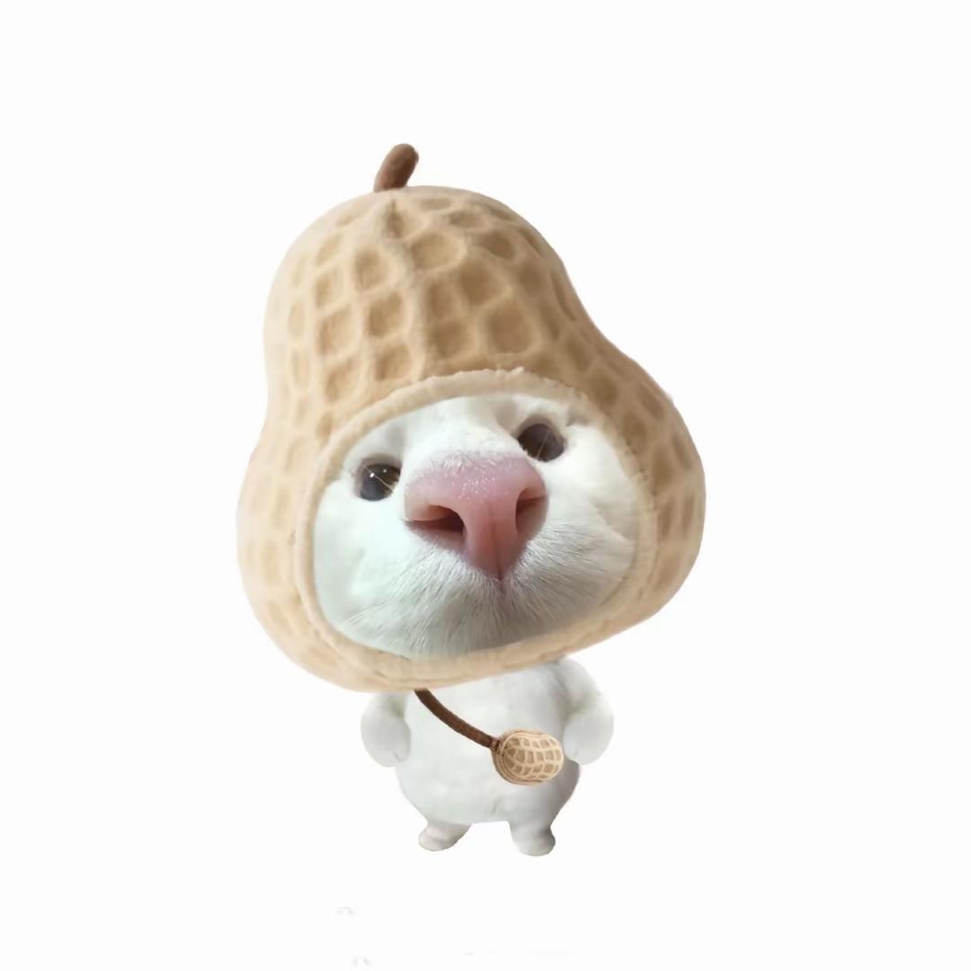 喂我花生🥜
