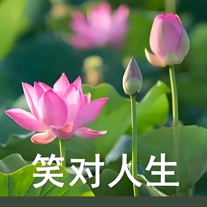 勇梅商贸qwoeriuvf2直播号