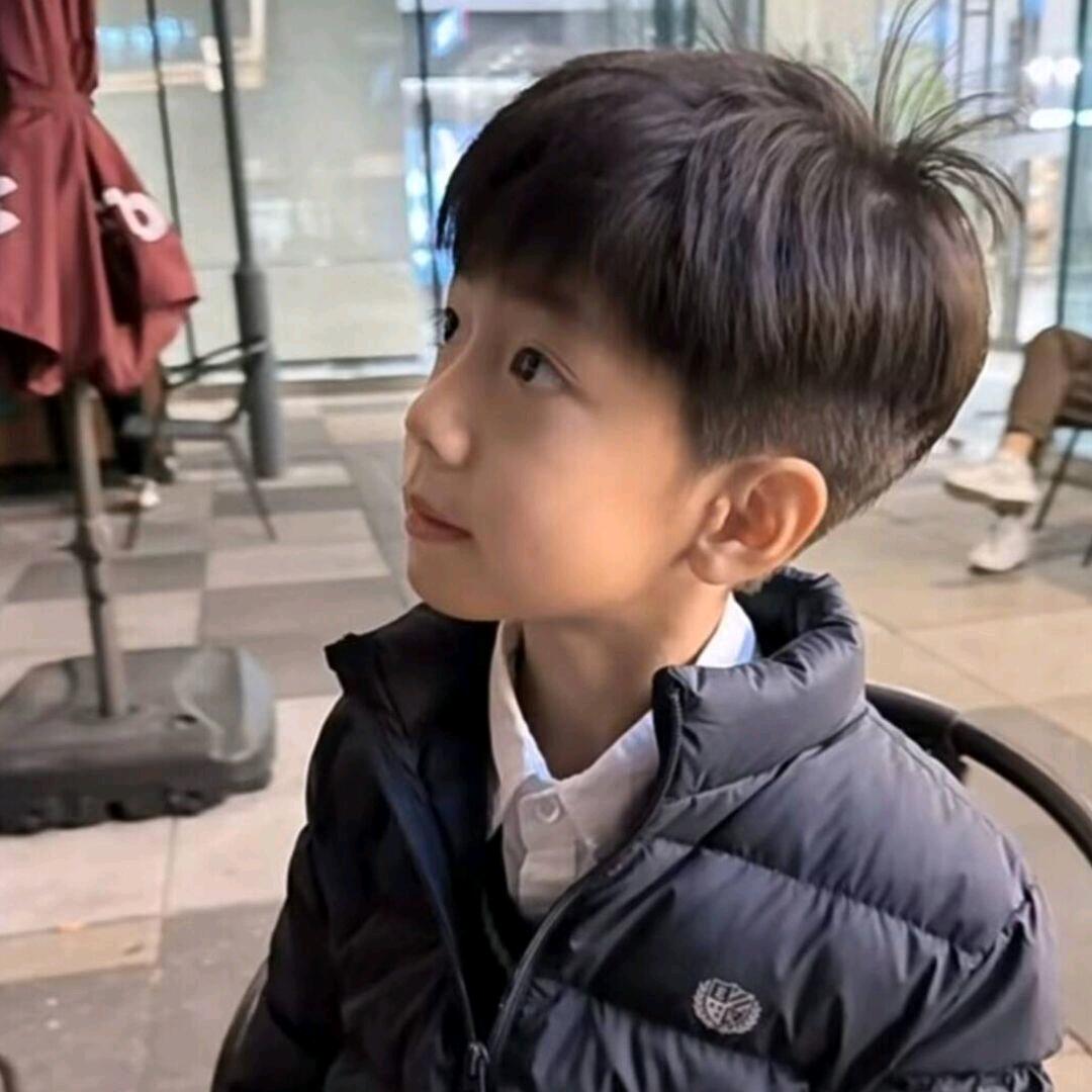 小杨小杨