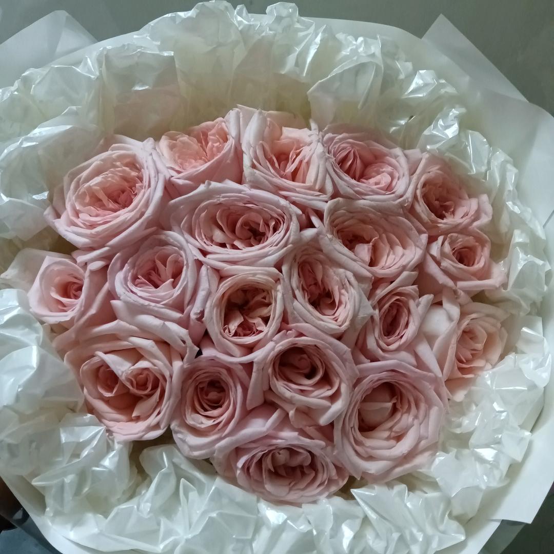 感恩遇见(请勿连赞)