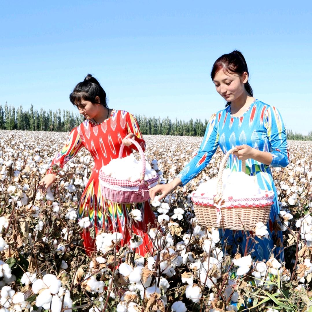 新疆长绒棉棉花制品厂