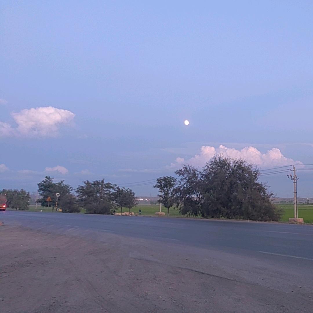 黑   马