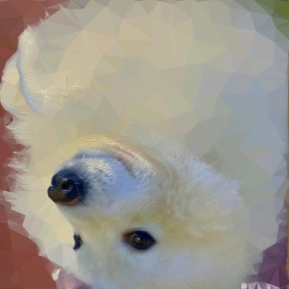 小呀嘛昕昕🍒ᴿᵘᵃ